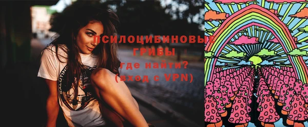 мяу мяу мука Алзамай