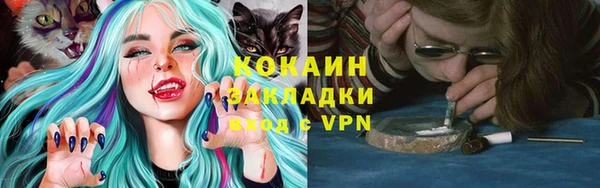ПСИЛОЦИБИНОВЫЕ ГРИБЫ Алексеевка