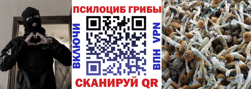 Псилоцибиновые грибы Cubensis Кашин